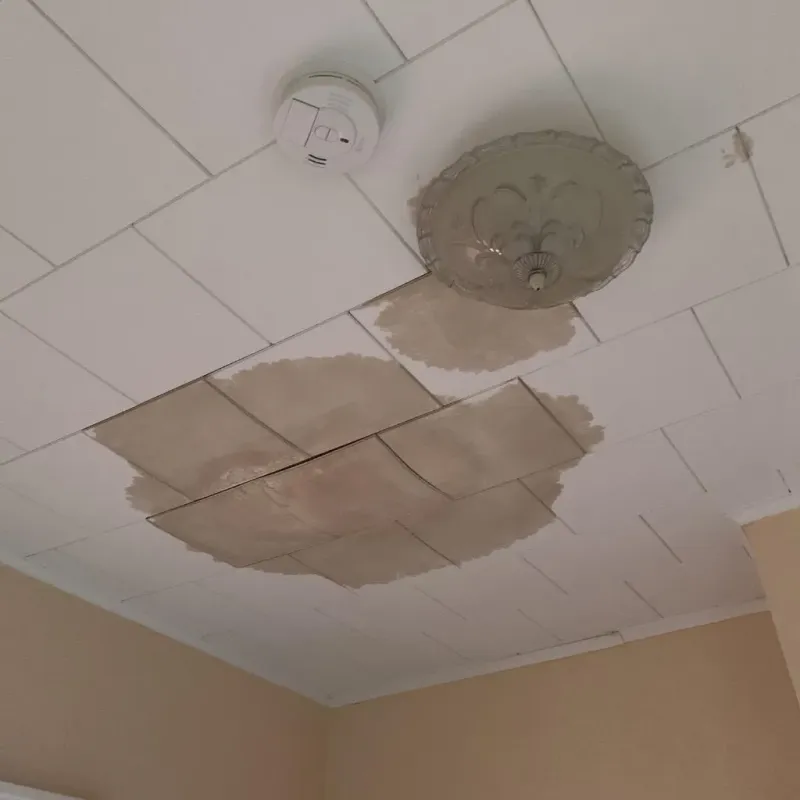 Ceiling Water Damage Repair in Bayport, NY